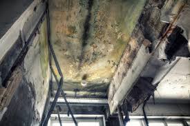 Best Residential Mold Inspection & Testing  in Morristown, IN